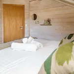 Warm Modern Near