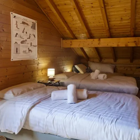 Warm Modern Near Chalet Thollon-les-Memises